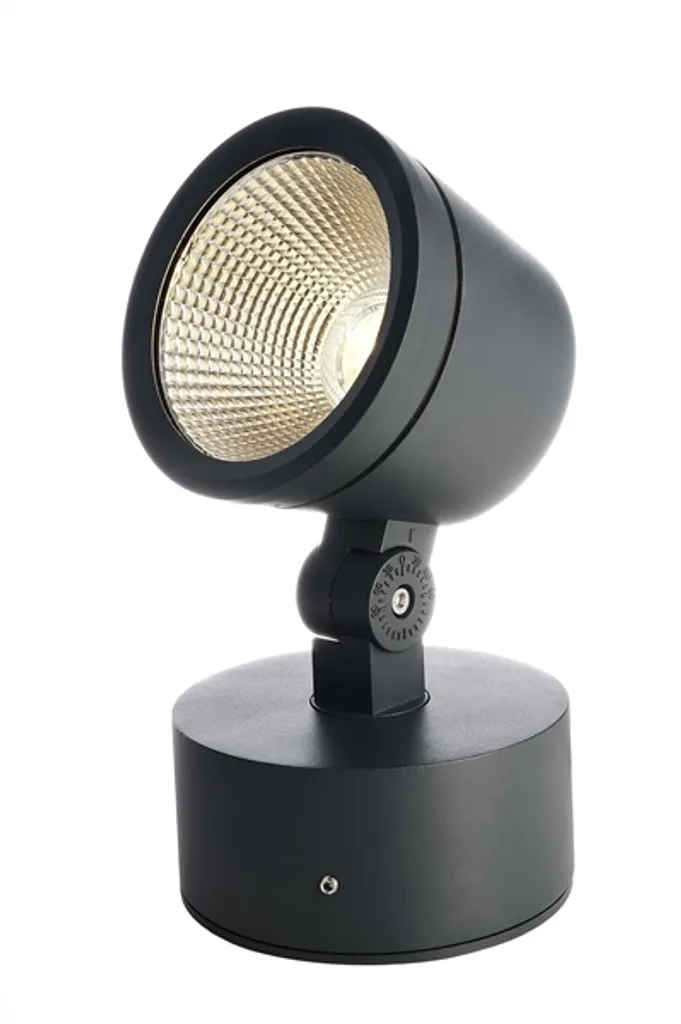Spot extérieur LED 15W orientable Colt 3000K gris anthracite IP65 robuste