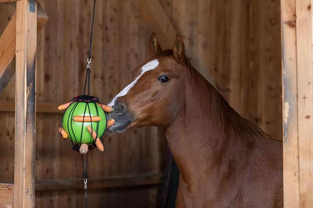 Balle Thérapeutique Kerbl Verte en Caoutchouc Résistant pour Chevaux - 5