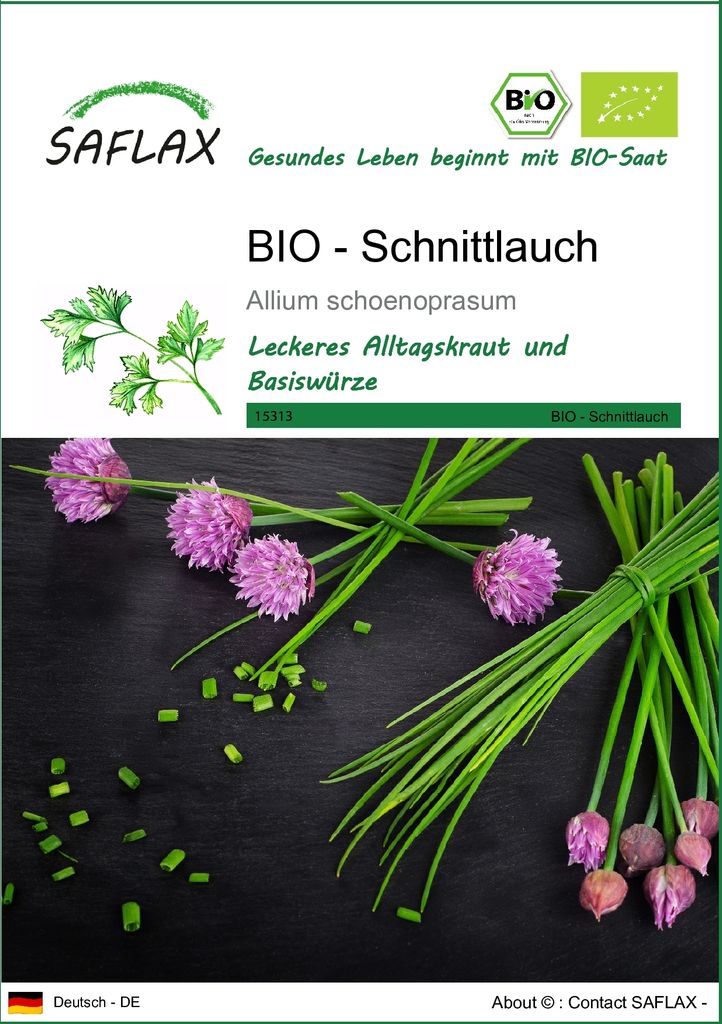 SAFLAX - BIO - Schnittlauch - 250 Samen - Allium schoenoprasum