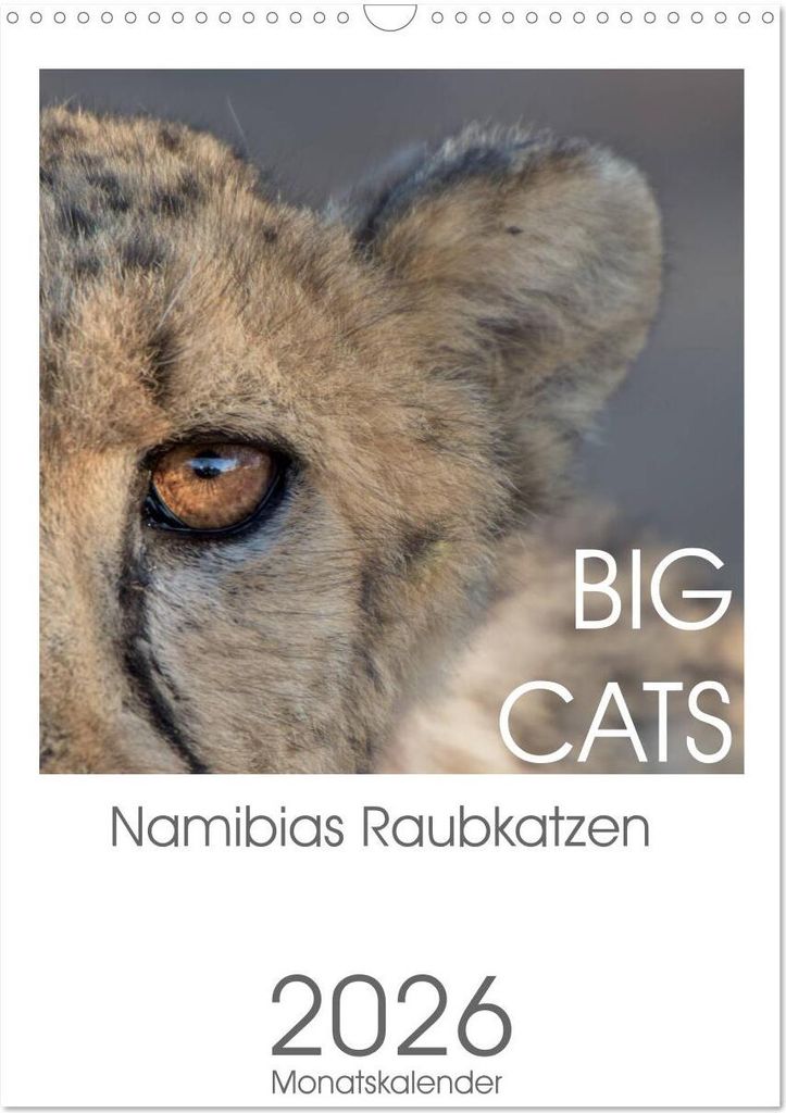 BIG CATS - Namibias Raubkatzen (Wandkalender 2026 DIN A3 hoch), CALVENDO Monatskalender
