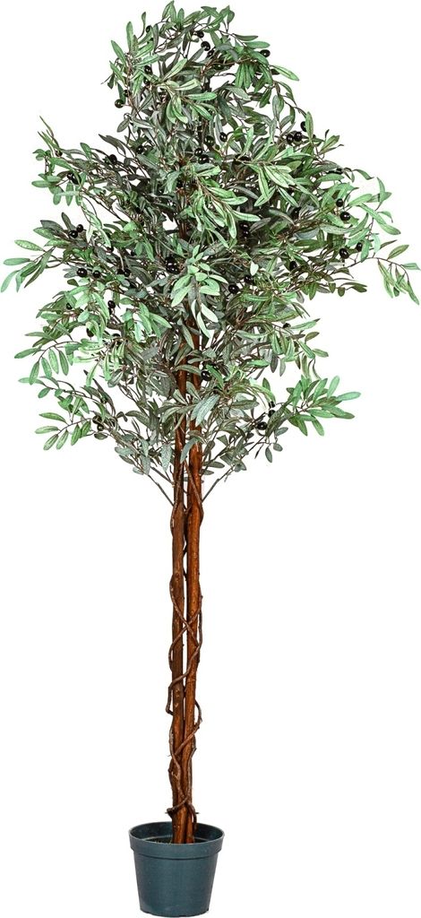 PLANTASIA Kunstpflanze Olivenbaum 180 cm Produktbild 