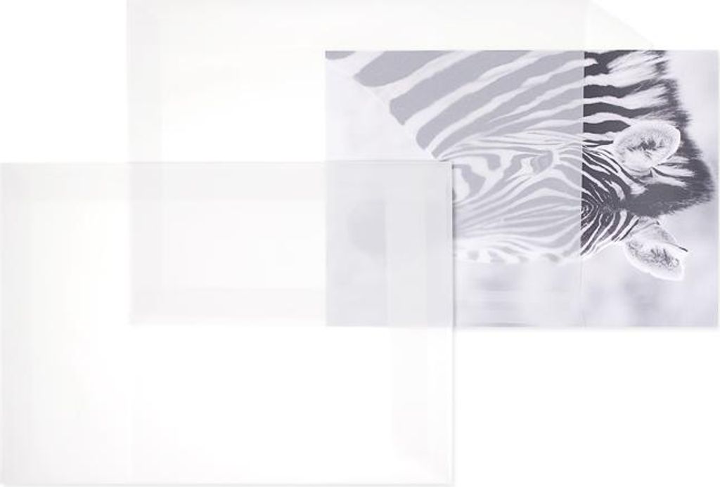 Transparent-Versandtaschen - Weiß (Transparent-Weiß)229 x 324 mm (DIN C4) | 110 g/qm Offset | Ohne Fenster | Haftklebung | Gerade Klappe | 100 St...
