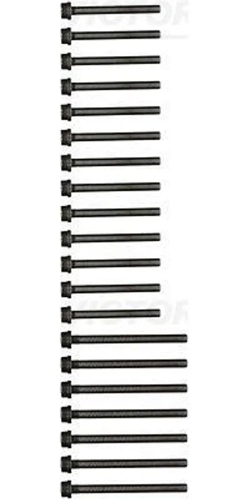 Victor Reinz 14-32129-02 Jeu de vis de culasse pour Galaxy et Golf IV