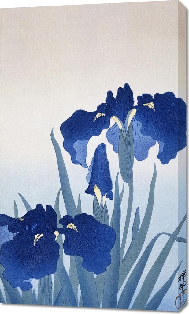 Bild 60x100cm Iris Blumen, Vintage Japanischer Koson für das Wohnzimmer