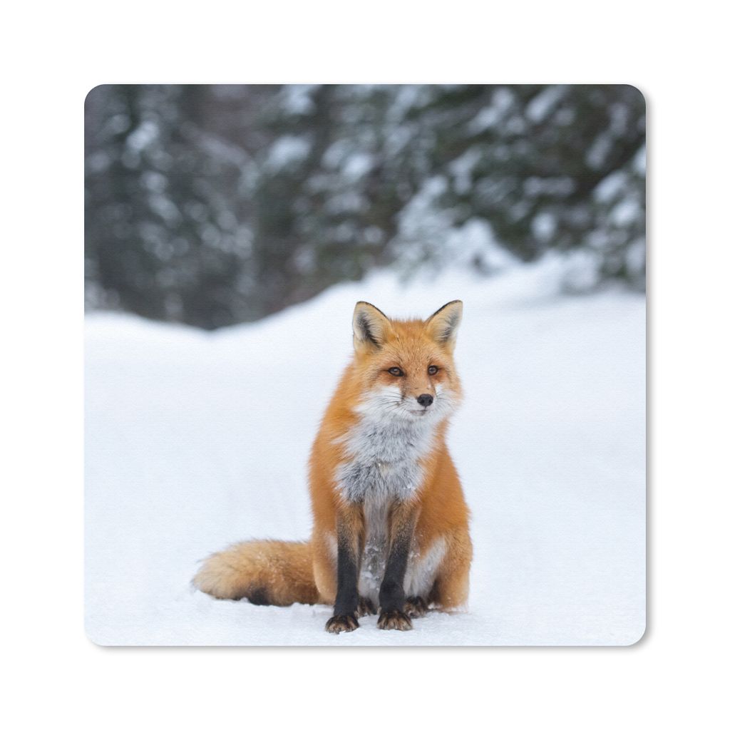 MuchoWow Mauspad Mousepad Fuchs - Schnee - Wald 20x20 cm - Mousepads - Maus Mat - Pad - Mausunterlage - Desk Mat - Bureauartikeln