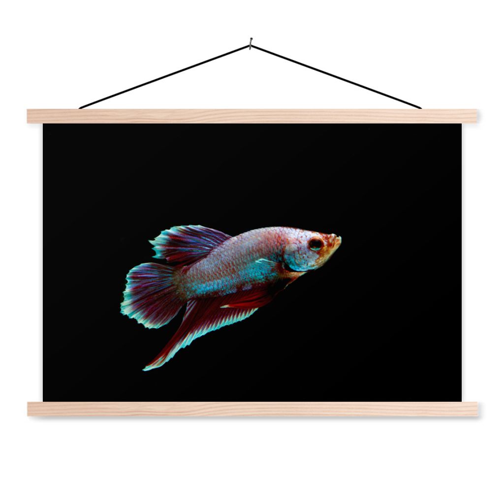 MuchoWow Textilposter Fische - Tiere - Licht 60x40 cm mit holzfarbenen Rahmen - Bilder