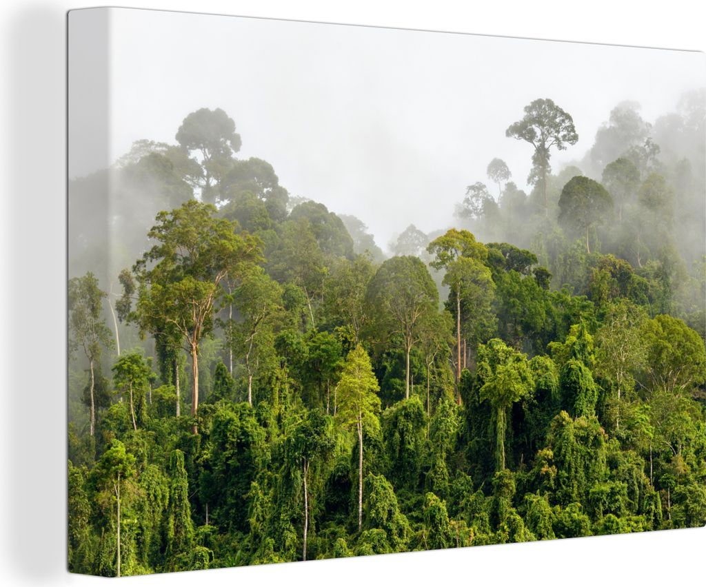 OneMillionCanvasses - Leinwandbilder - 150x100 cm, Dschungel - Baum - Nebel - Mädchen - Kinder, Wandbilder Kunstdruck Wanddekoration