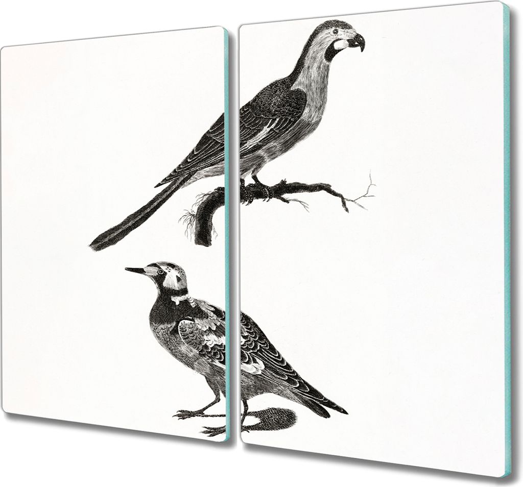 Coloray Schneidebrett Herdabdeckplatte 2x30x52 cm Kochplattenabdeckung Hackbrett Küchenbrett - Tiere Vögel