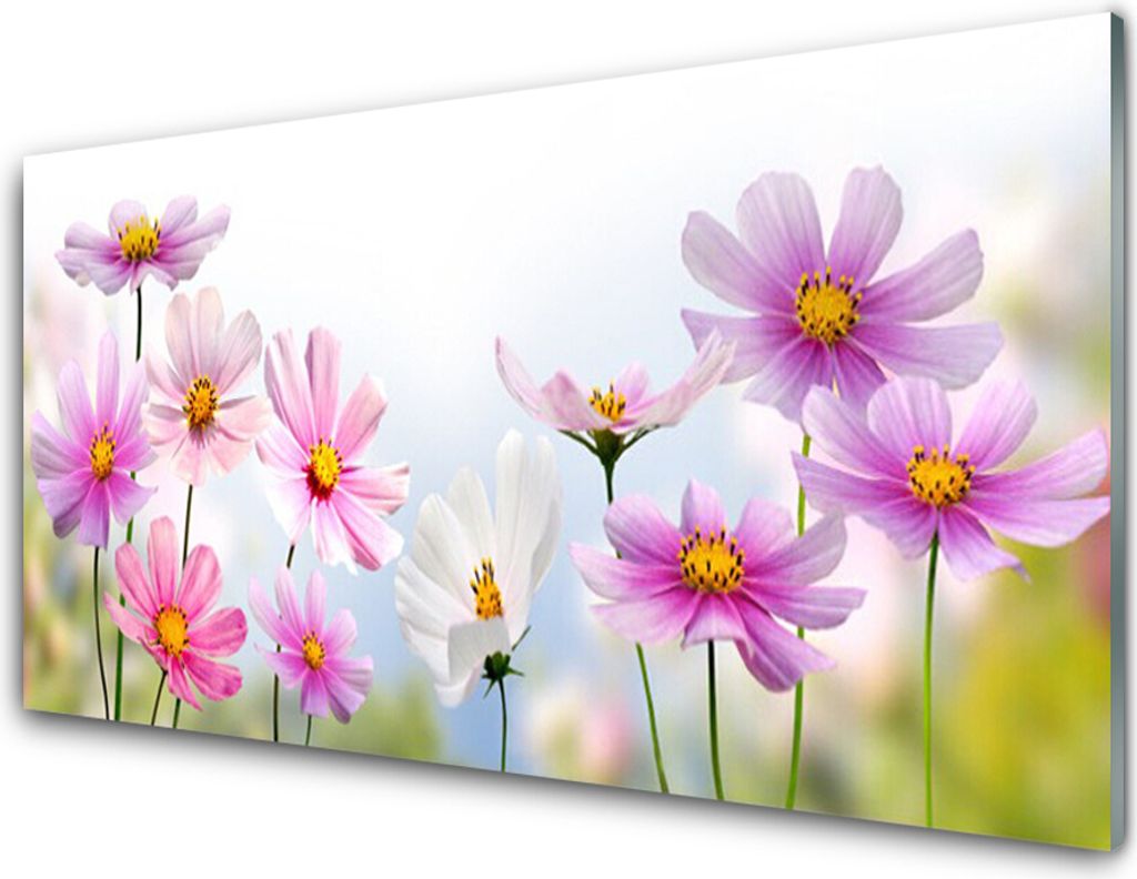 Acrylglasbilder 100x50 Wandbild Druck Blumen Pflanzen