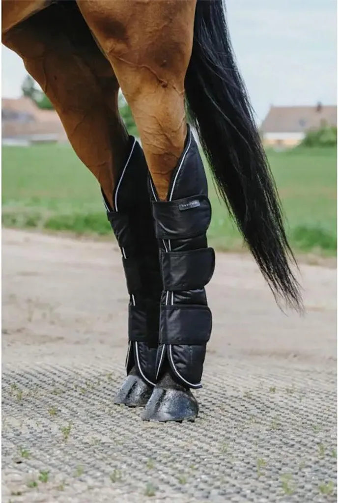 Set 4 Protezioni Trasporto Equitheme 600D Nero | Massima Resistenza