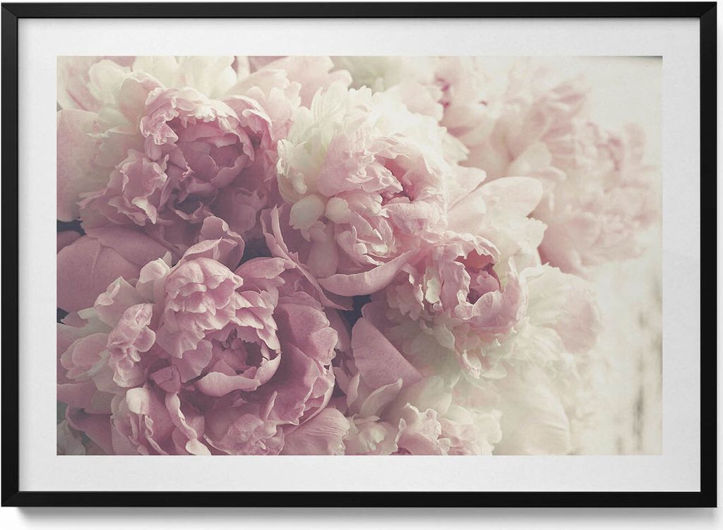Subtile Blumen Pfingstrosen– Wandbild mit Rahmen – Gerahmtes Bild – Wanddekoration – 100x70 cm – Schwarz Rahmen