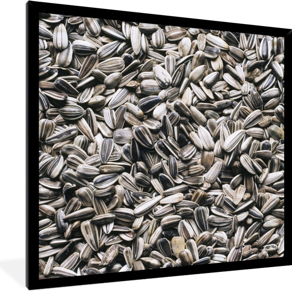 MuchoWow Gerahmtes Poster Nahaufnahme von weißen Sonnenblumenkernen 40x40 cm - Poster mit Schwarzem Bilderrahmen Wandposter Rahmen Foto Bilder -...