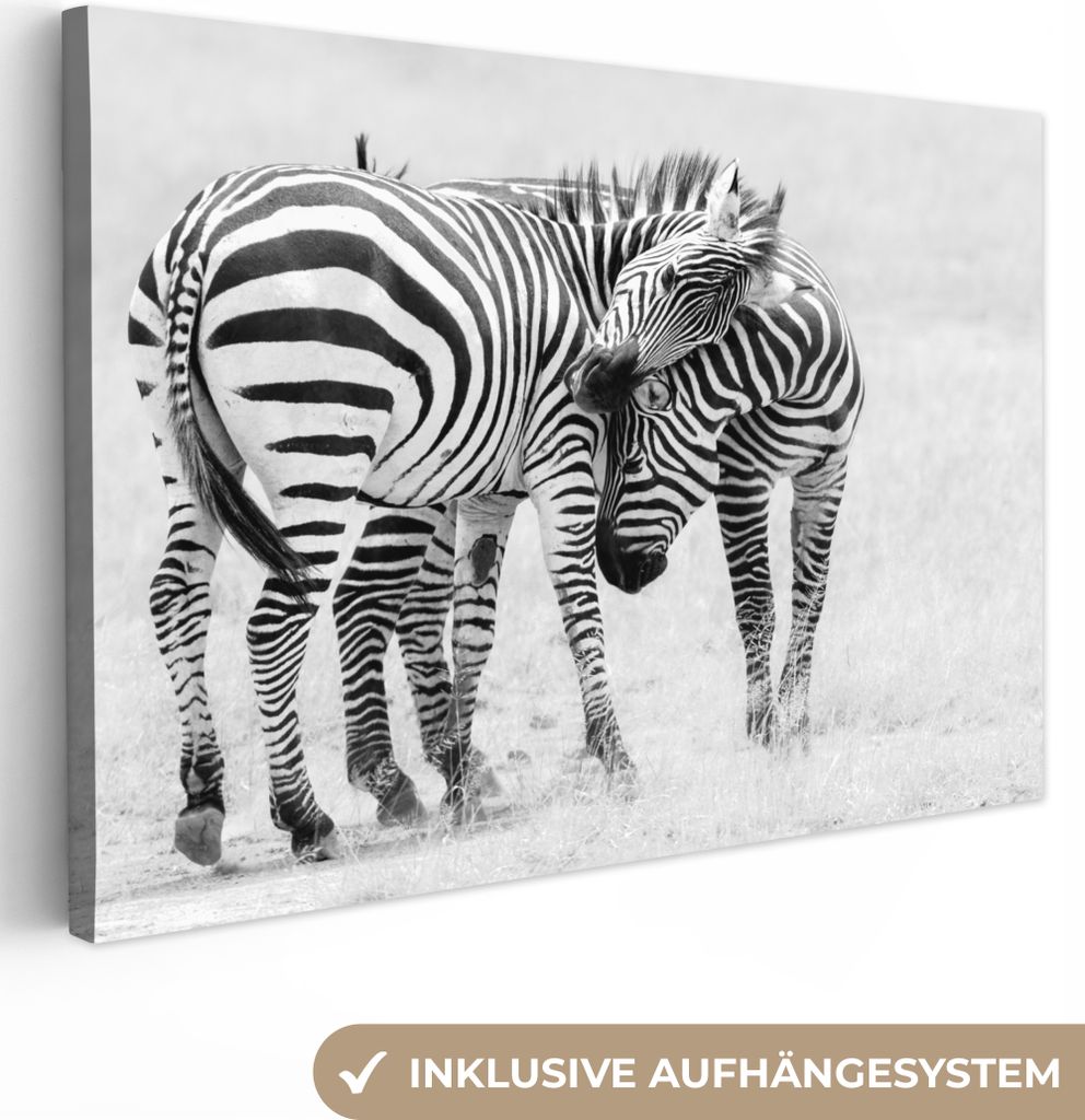 OneMillionCanvasses - Leinwandbilder - 150x100 cm, Zebra - Tiere - Natur - Safari, Wandbilder Kunstdruck Wanddekoration - Foto auf Leinwand - Gem...