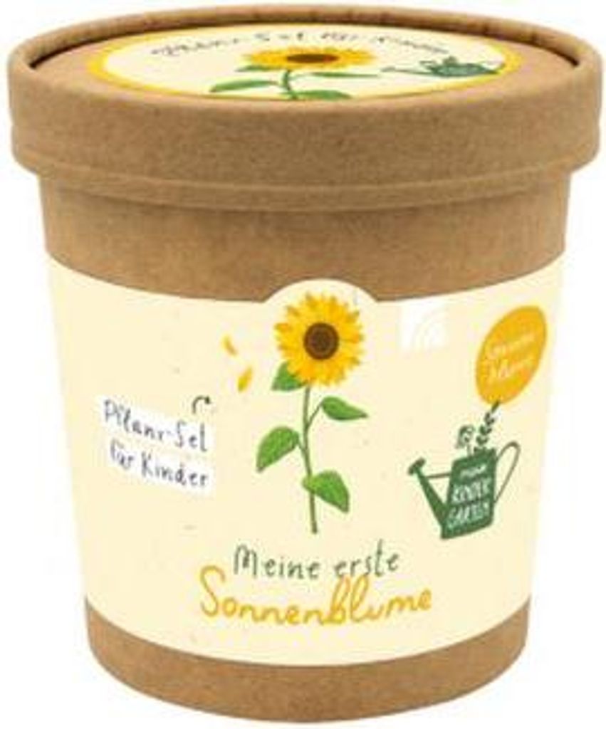 Meine erste Sonnenblume