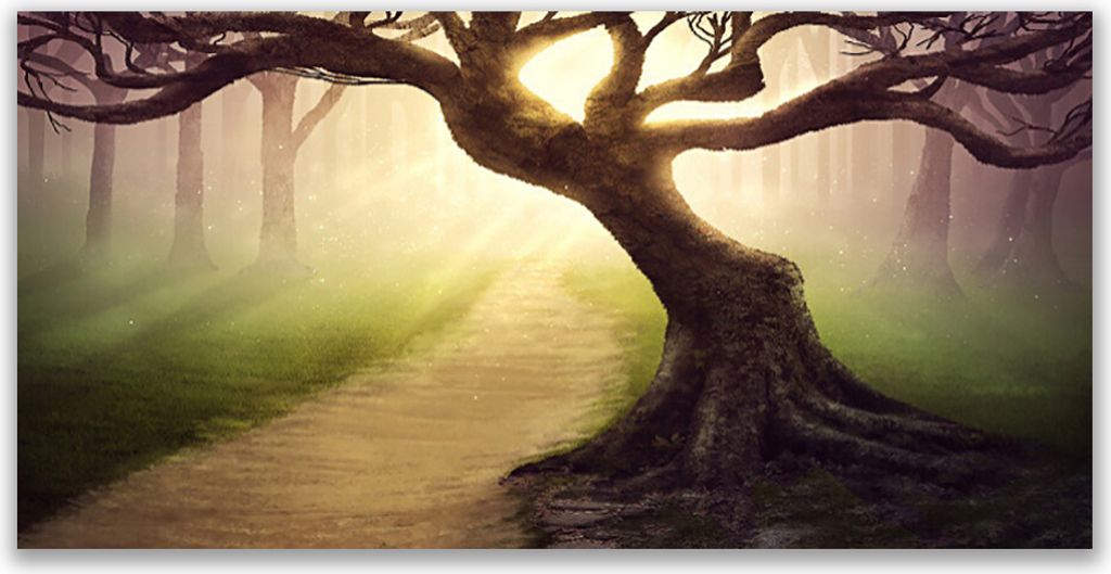 Küchenrückwand aus Glas 120x60cm Spritzschutz Baum Natur