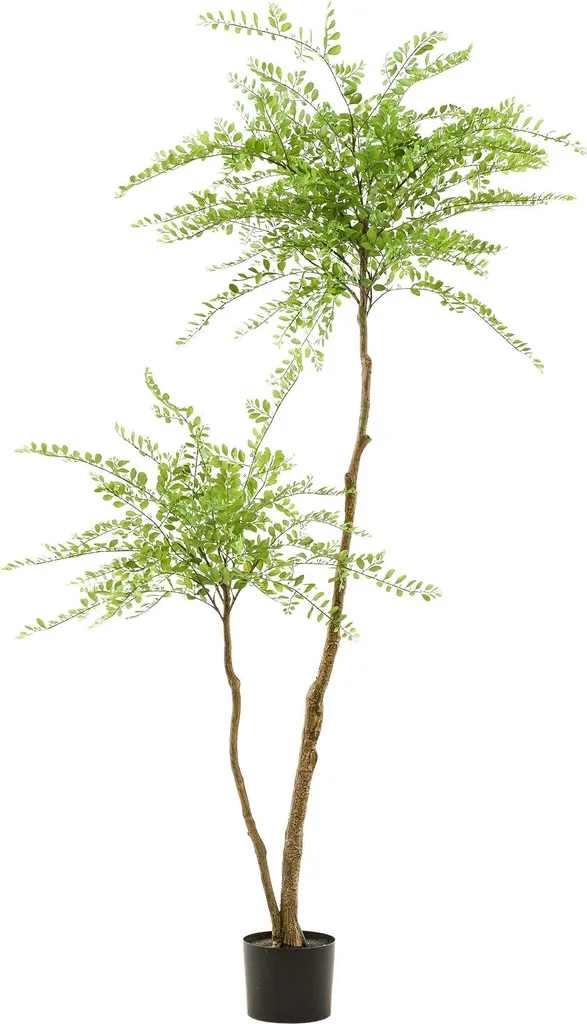 Plante artificielle Sophora 190 cm - Arbre de Honing déco grand format