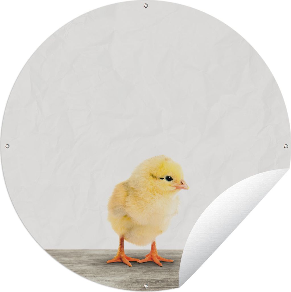 MuchoWow Gartenposter Outdoor-Poster Rund Tiere - Huhn - Gelb Ø 90 cm Gartendeko Rundes Poster draußen