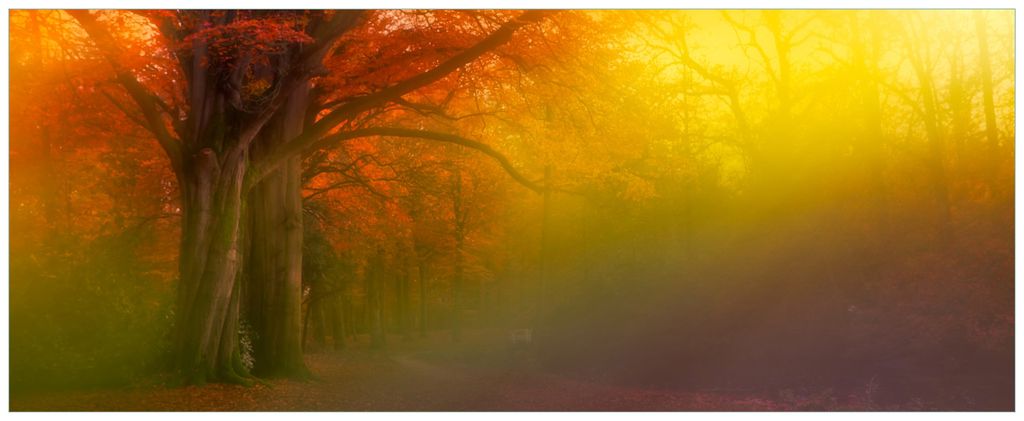 Wallario Wandbild aus Acryl, 125 x 50 cm, freischwebende Optik - Bunter Herbst - Waldlandschaft bei Nebel in Regenbogenfarben