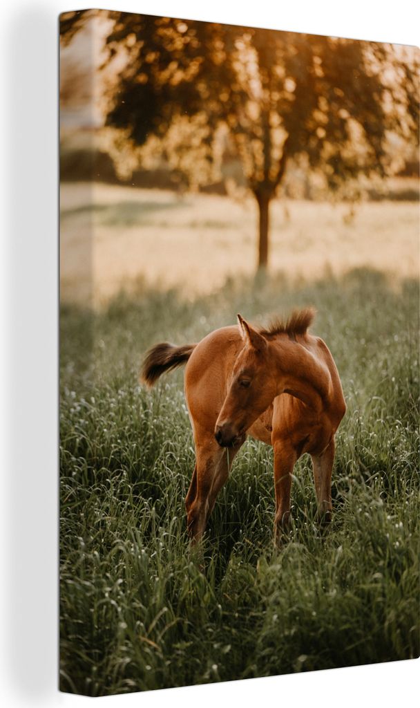 OneMillionCanvasses - Leinwandbilder - 90x140 cm, Pferd - Gras - Baum, Wandbilder Kunstdruck Wanddekoration - Wandschmucke - Schlafzimmer