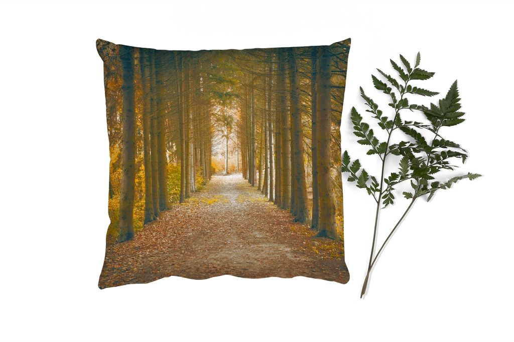 MuchoWow Zierkissen Sofakissen Wohnzimmer Dekokissen 60x60 cm Pfad - Bäume - Wald - Sitzfläche - Foto Polster