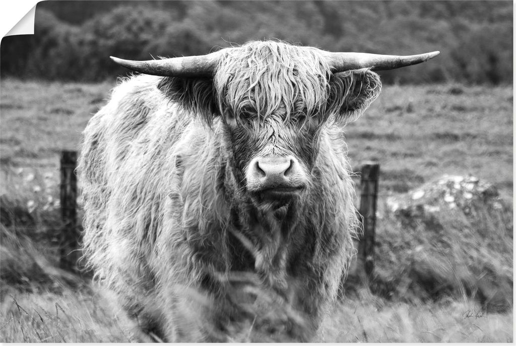 ARTland Poster Happy Highland Größe: 60x40 cm