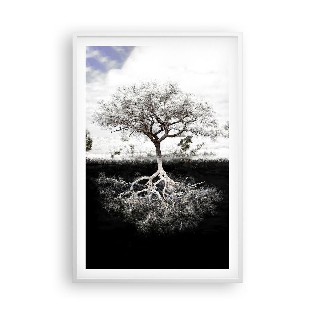 Gerahmtes Poster - Weißer Rahmen - Baum die Wurzeln Reflexion - 61x91,5 cm - Wand Bild - Wanddeko - Wandbilder - Kunstposter - Wandposter - Bilder...