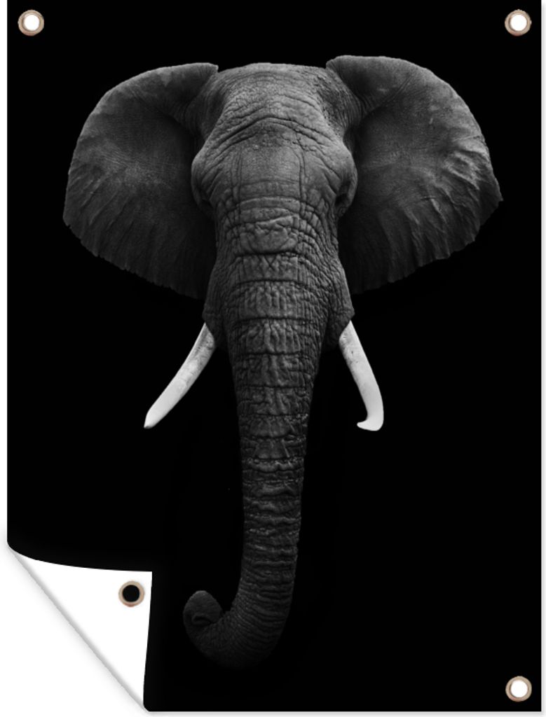MuchoWow 30x40 cm Outdoor-Poster Gartendeko Sichtschutz Garten Poster für den Garten Elefant - Wildtiere - Schwarz - Weiß - Porträt