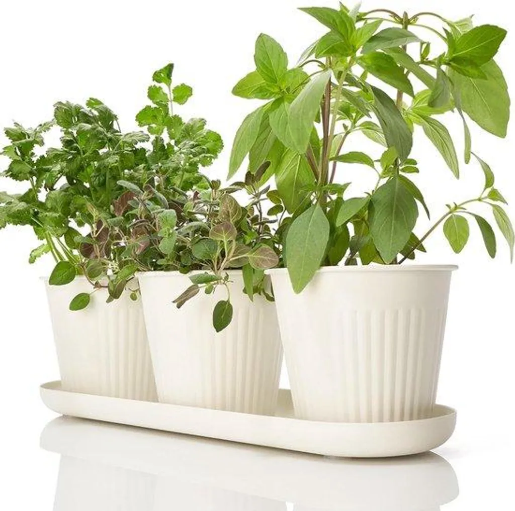 Kit de 3 jardinières pour plantes aromatiques anti-gaspillage d'eau