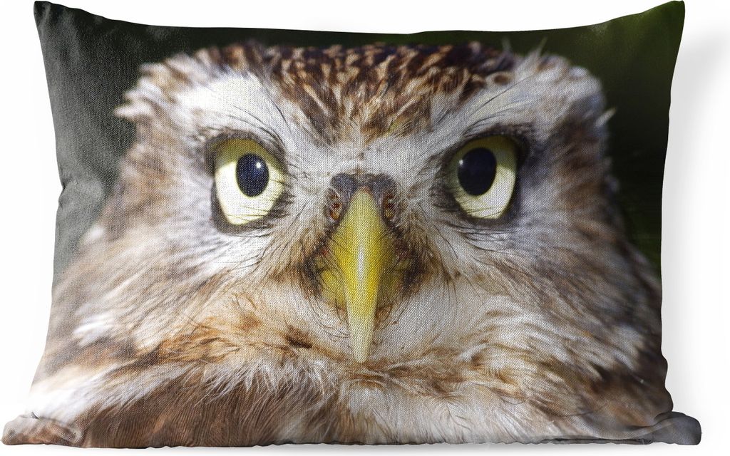 MuchoWow Outdoor Kissen - Nahaufnahme einer braunen Eule - 50x30 cm - Wetterfest - Lounge Kissen - Sofa kissen - Wohnzimmer Dekoration