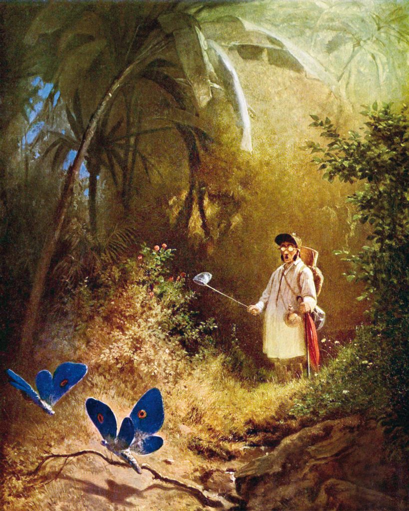 Carl Spitzweg Kunstdruck Bild - Der Schmetterlingsjäger, 1840 (50 x 40 cm)