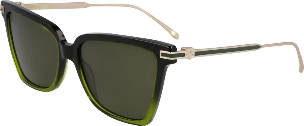 Lunettes Ferragamo SF2036S avec Verres Dégradés Verts et Monture Luxe