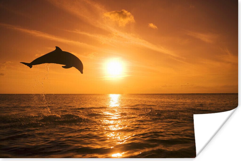 MuchoWow Poster Delfin - Sonne - Meer 120x80 cm - Bilder