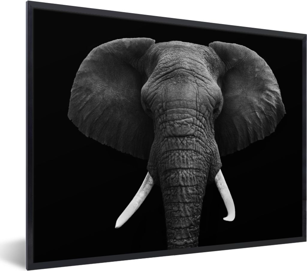 MuchoWow Gerahmtes Poster Elefant - Wildtiere - Schwarz - Weiß - Porträt 40x30 cm - Poster mit Schwarzem Bilderrahmen Wandposter Rahmen Foto Bi...