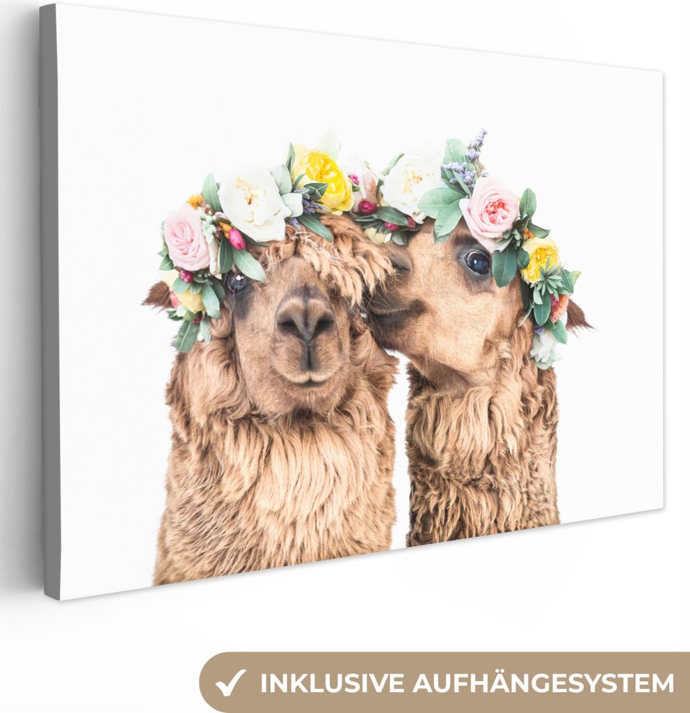 OneMillionCanvasses - Leinwandbilder - 140x90 cm, Alpaka - Blumen - Tiere - Natur, Wandbilder Kunstdruck Wanddekoration - Foto auf Leinwand - Gem...