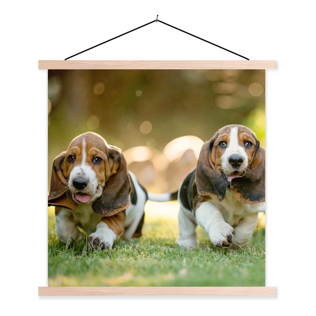 MuchoWow Textilposter Welpen rennen durch das Gras 60x60 cm mit holzfarbenen Rahmen - Wanddekoration
