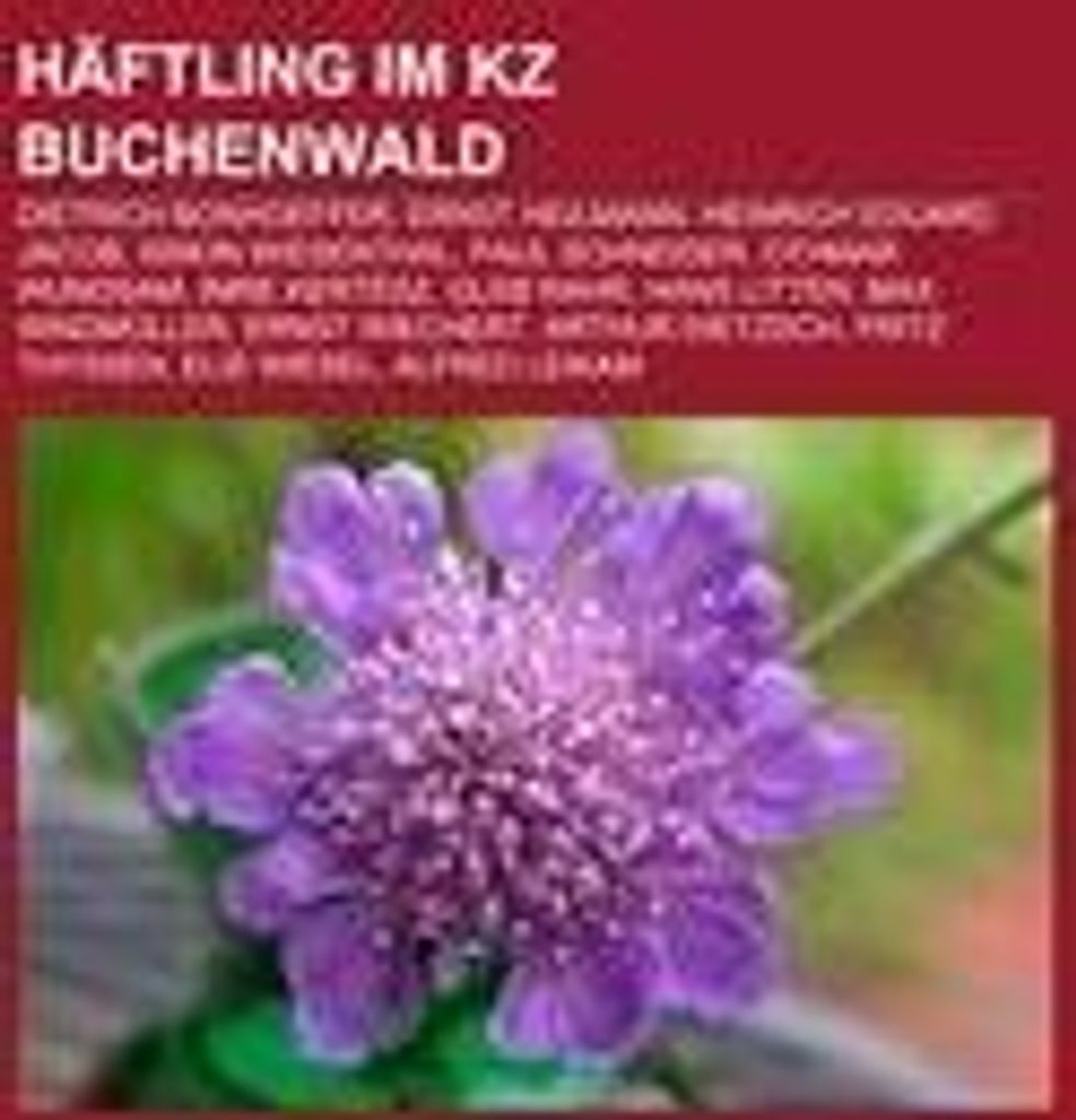 Häftling im KZ Buchenwald