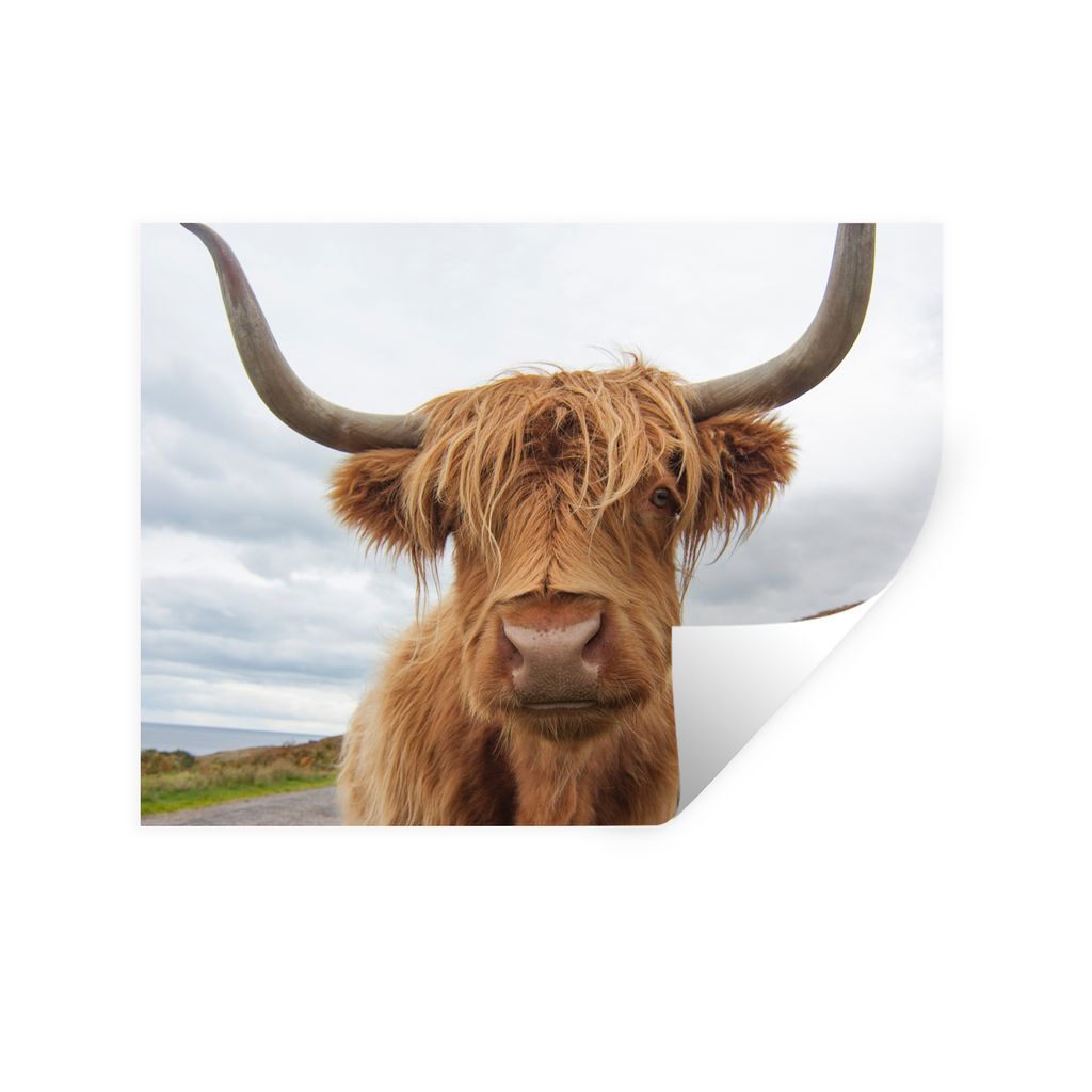 MuchoWow Wandtattoo Wandsticker Wandaufkleber Schottischer Highlander - Hörner - Berg 160x120 cm Selbstklebend und Repositionierbar - Selbstkleb...