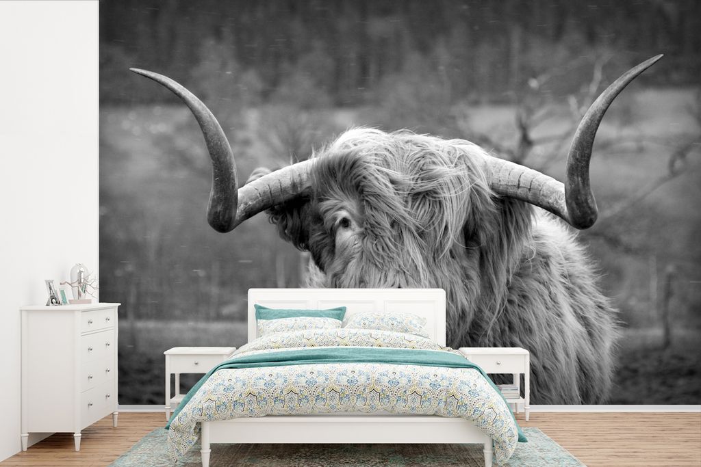 MuchoWow Fototapete für Wohnzimmer oder Schlafzimmer Wandtapete Vinyl Motivtapete Schottischer Highlander - Kuhkopf - Landschaft - Natur - Kuh -...