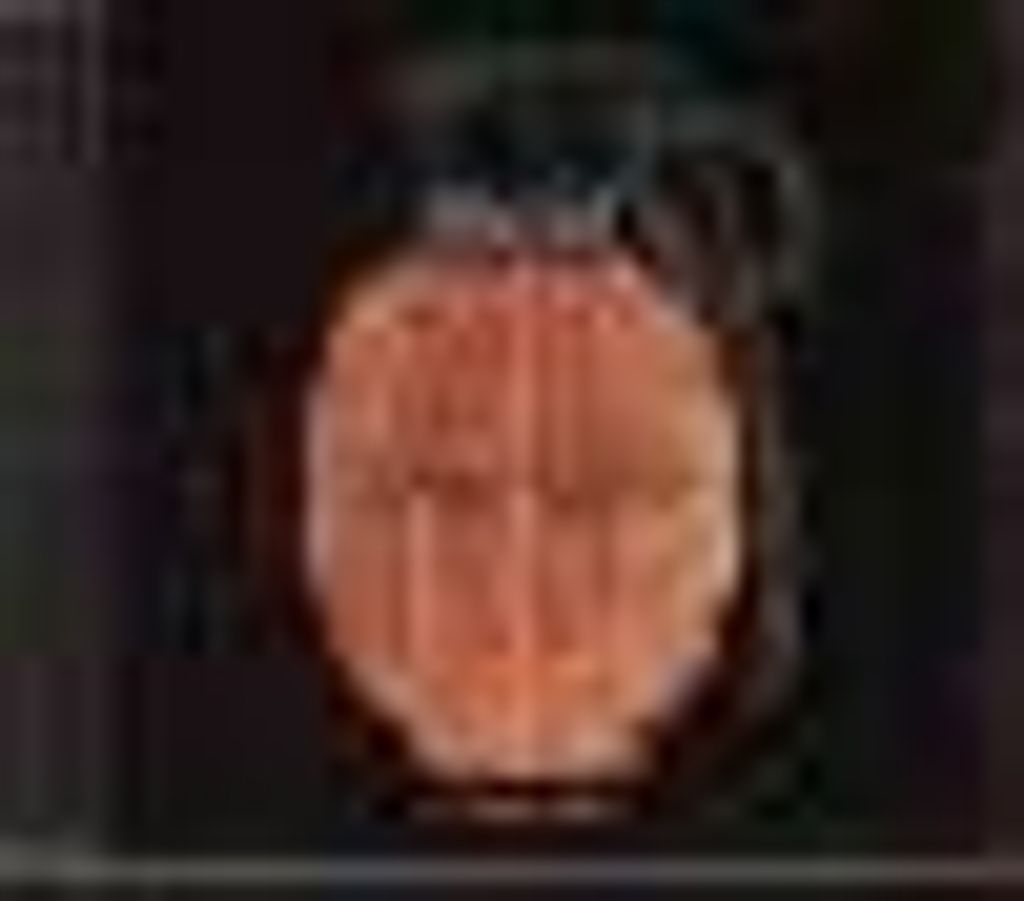 CD: Clawfinger-Use Your Brain