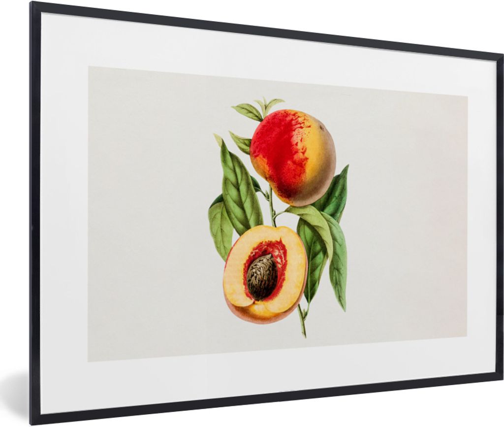 MuchoWow Gerahmtes Poster Pfirsich - Lebensmittel - Obst 90x60 cm - Poster mit Schwarzem Bilderrahmen Wandposter Rahmen Foto Bilder - Fotorahmen ...