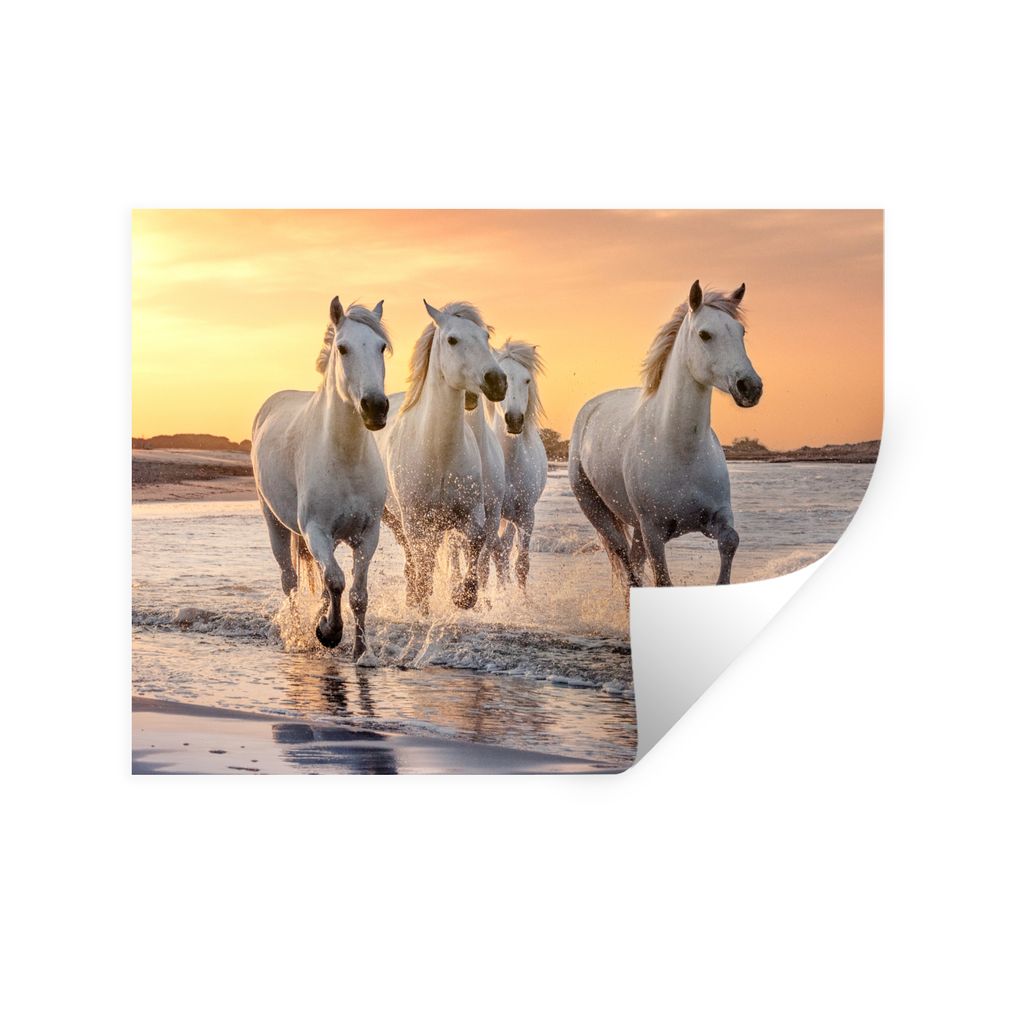 MuchoWow Wandtattoo Wandsticker Wandaufkleber Pferde - Sonne - Meer - Strand - Tiere 160x120 cm Selbstklebend und Repositionierbar - Selbstkleben...