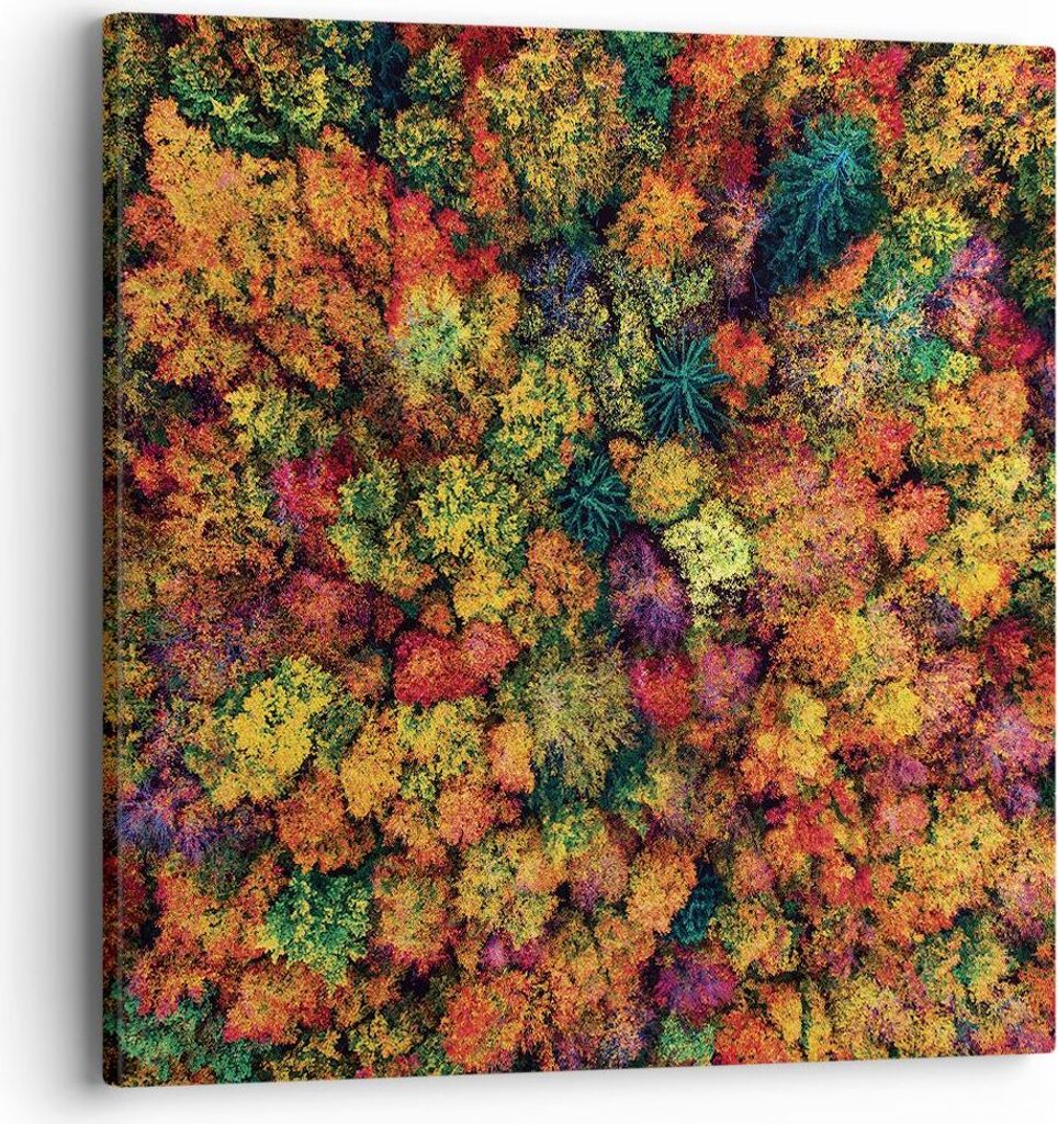 Bild auf Leinwand - Leinwandbild - Einteilig - Herbst Perspektive Vogel - 40x40cm - Wand Bild - Wanddeko - Wandbilder - Leinwanddruck - Bilder - Wa...