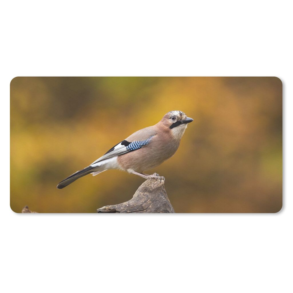 MuchoWow Mauspad Mousepad Vogel - Zweig - Eichelhäher 60x30 cm - Mousepads - Maus Mat - Pad - Mausunterlage - Nachhaltig