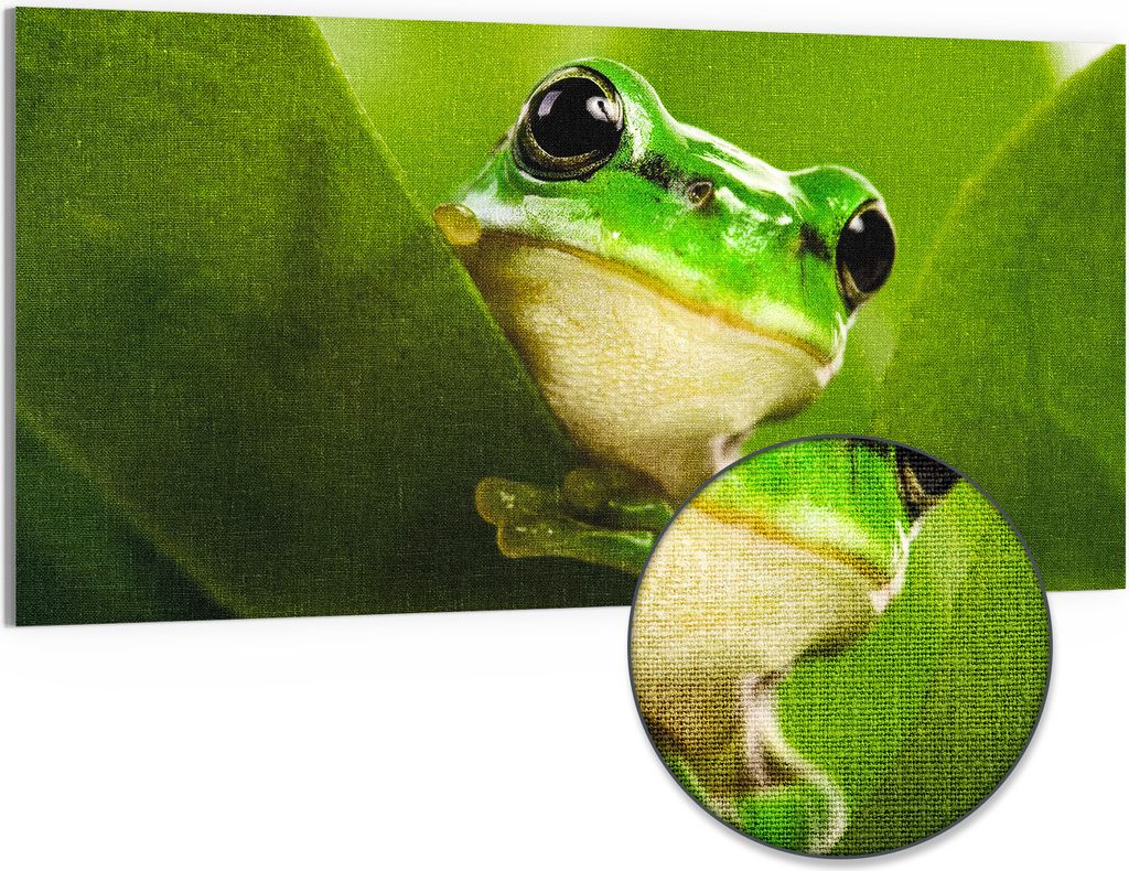 DEQORI Hybrid Leinwand Bild 100x50 cm 'Grüner Lauschposten' Wandbild Glas flach modern