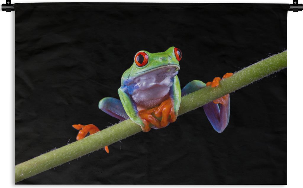MuchoWow Wandteppich Wandbehang Frosch - Pflanze - Schwarz 120x80 cm Tapisserie Dekoration Wandtuch - Wanddekorationen - Wandtücher
