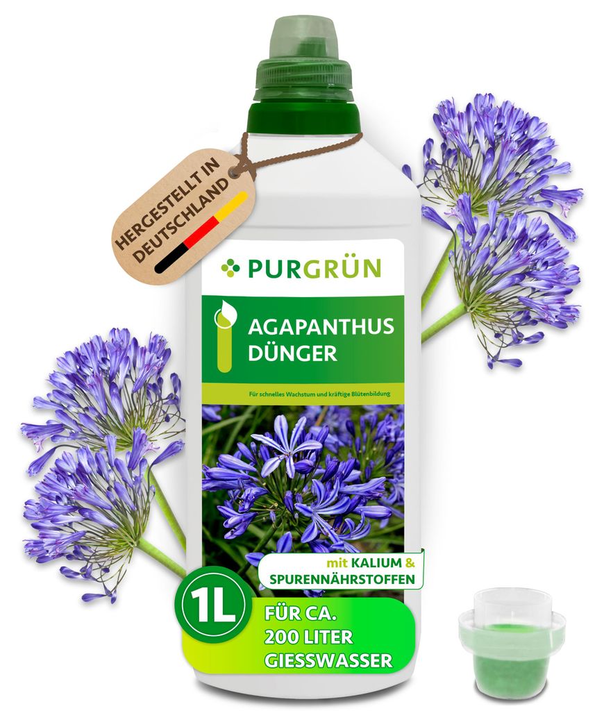 Purgrün Agapanthus Dünger | Flüssigdünger für Blütenpracht Produktbild 