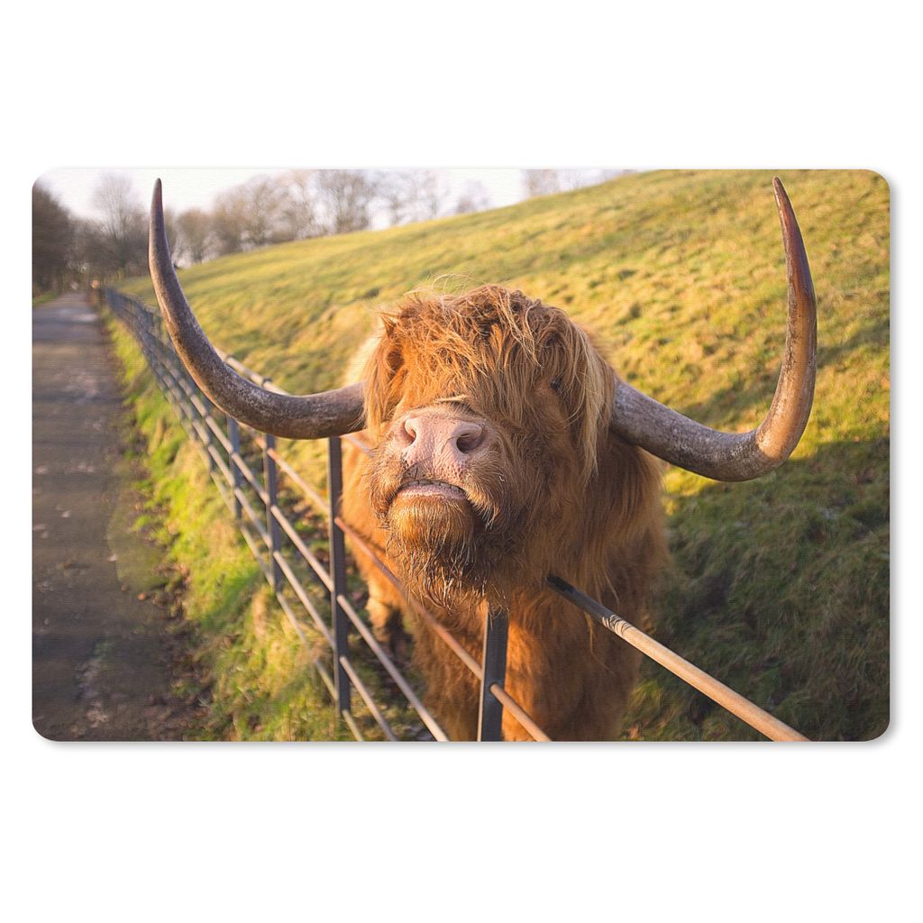MuchoWow® Schreibtischunterlage Scottish Highlander - Zaun Produktbild 
