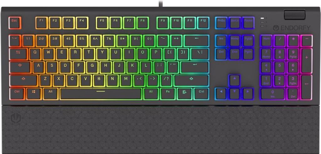 ENDORFY Omnis - Kabelgebunden - USB - Mechanischer Switch - QWERTY - RGB-LED - Schwarz