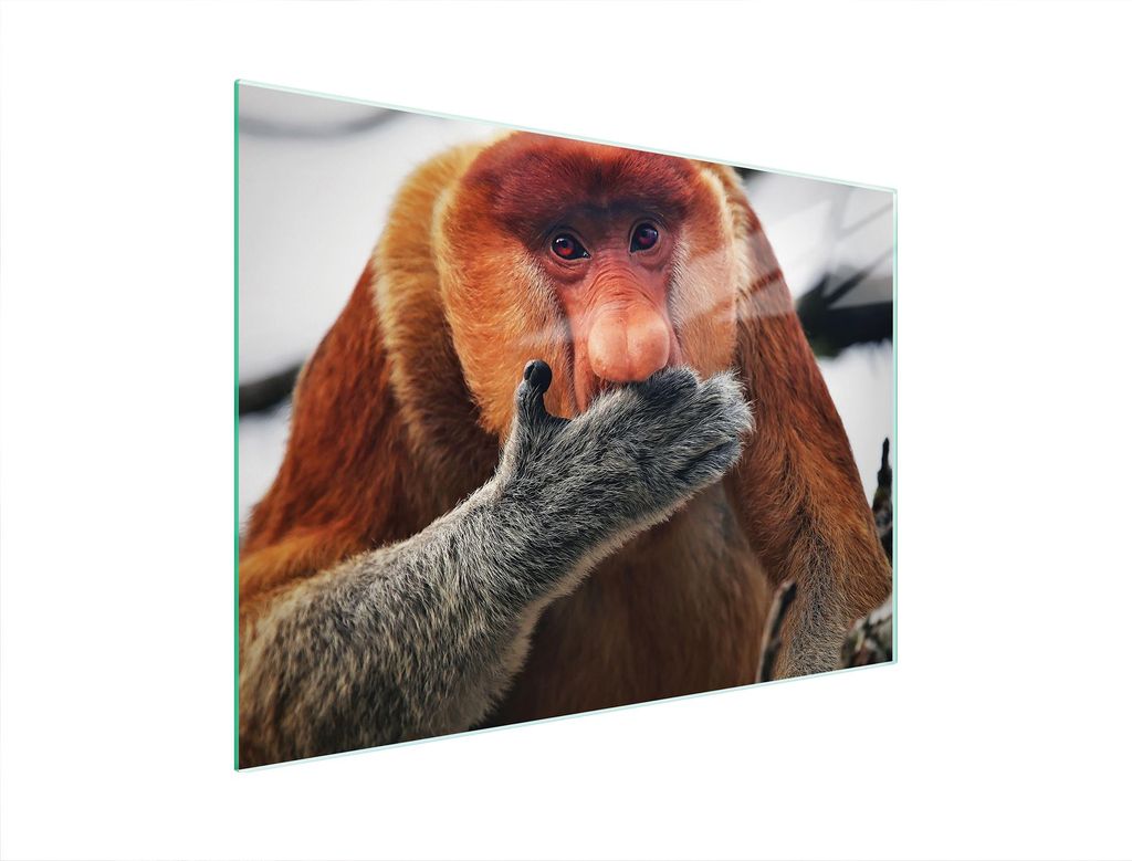 Glasschneidebrett 40x30 NOSACZ