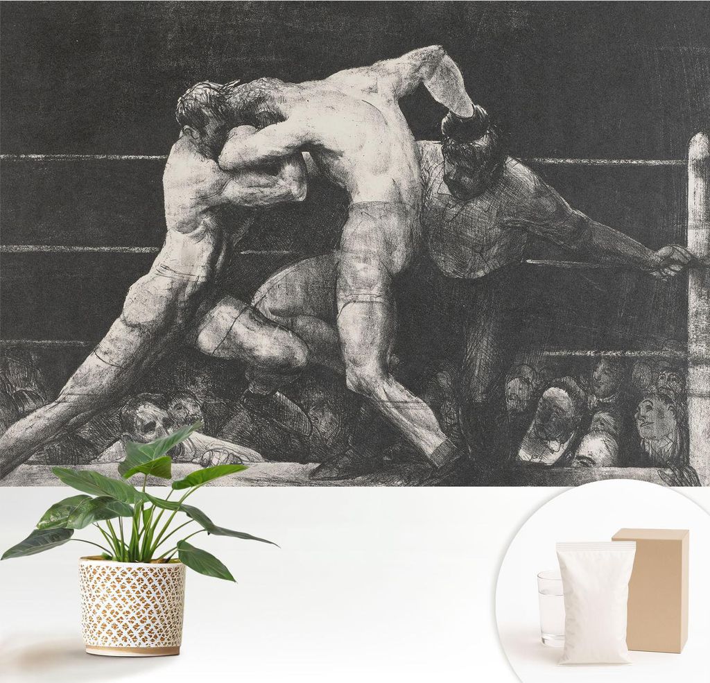 Fototapete - 152x104 cm - Tapete - Wandtapete - Wandbilder - Dekofolie - Tapete Folie - Wand - Dekoration - Wohnzimmer - Boxerduell